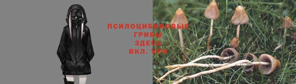 мескалин Красноперекопск
